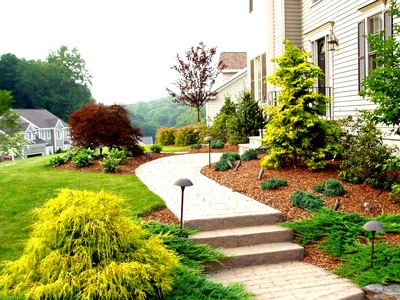 Landscaping Business For Sale