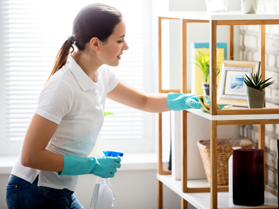 Thriving And Profitable Cleaning Company Remotely Operated